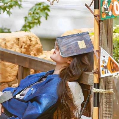 淘气托托大冒险