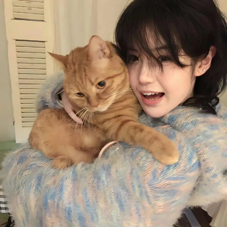 中国家庭之新渴望